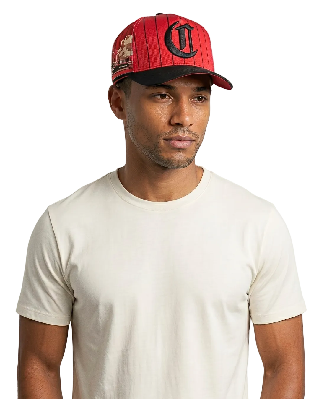 Cincinnati City Pinstripe Monogram Hat