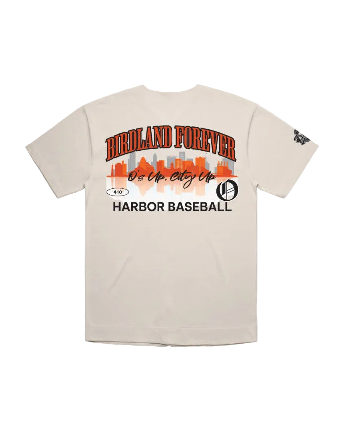 Baltimore City Jersey-3