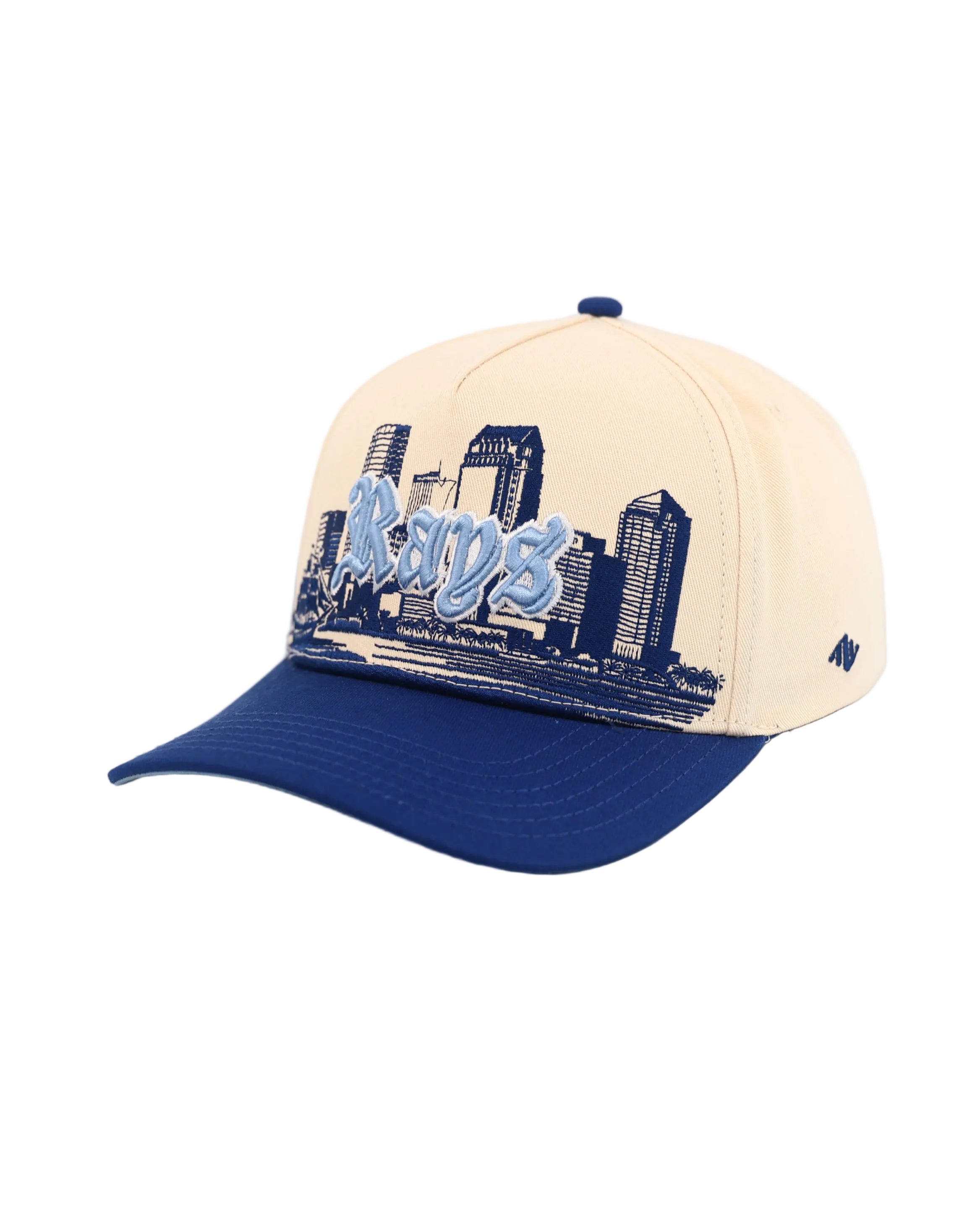Tampa Bay Skyline Hat-4