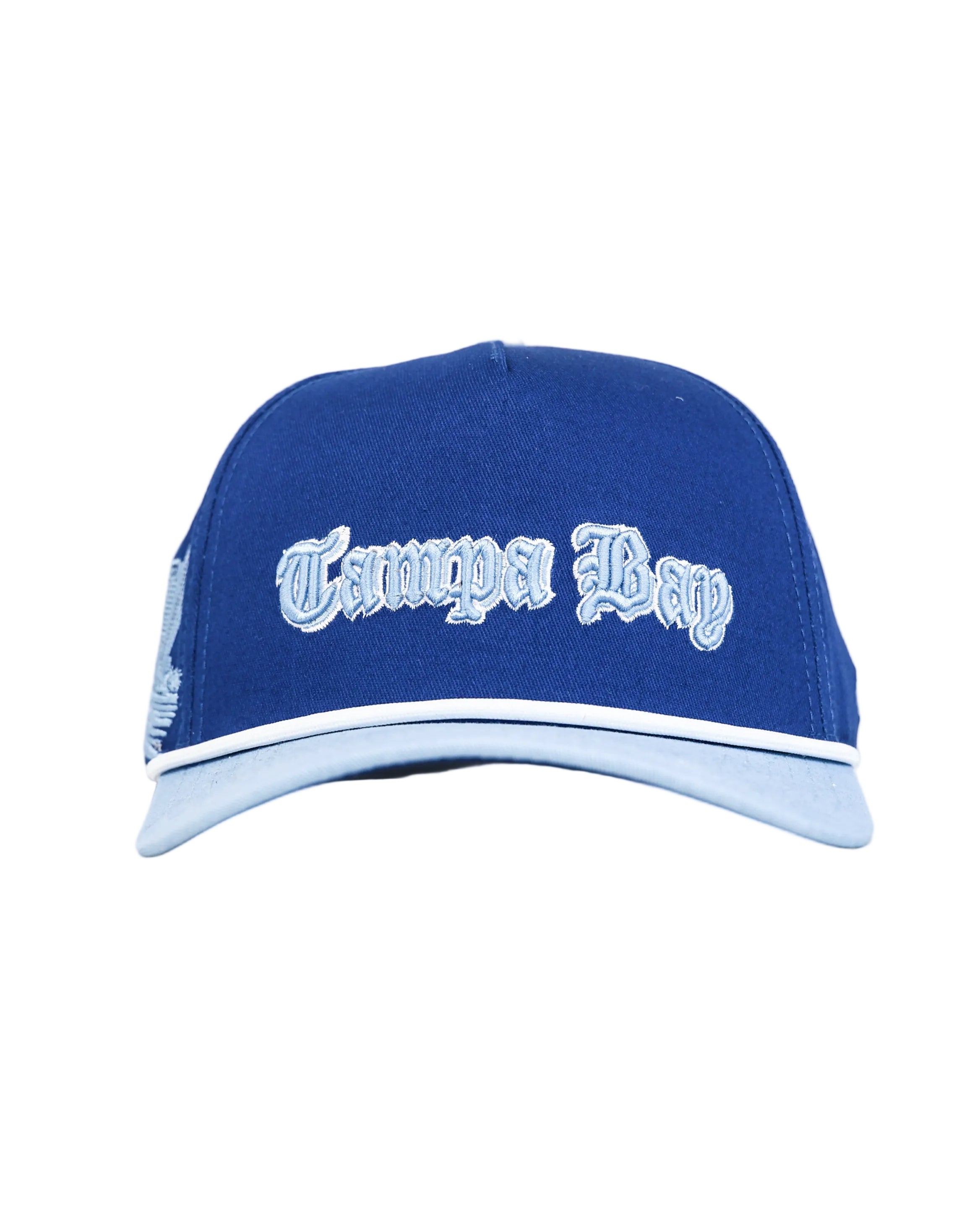 Tampa Bay City Skyline Hat-3