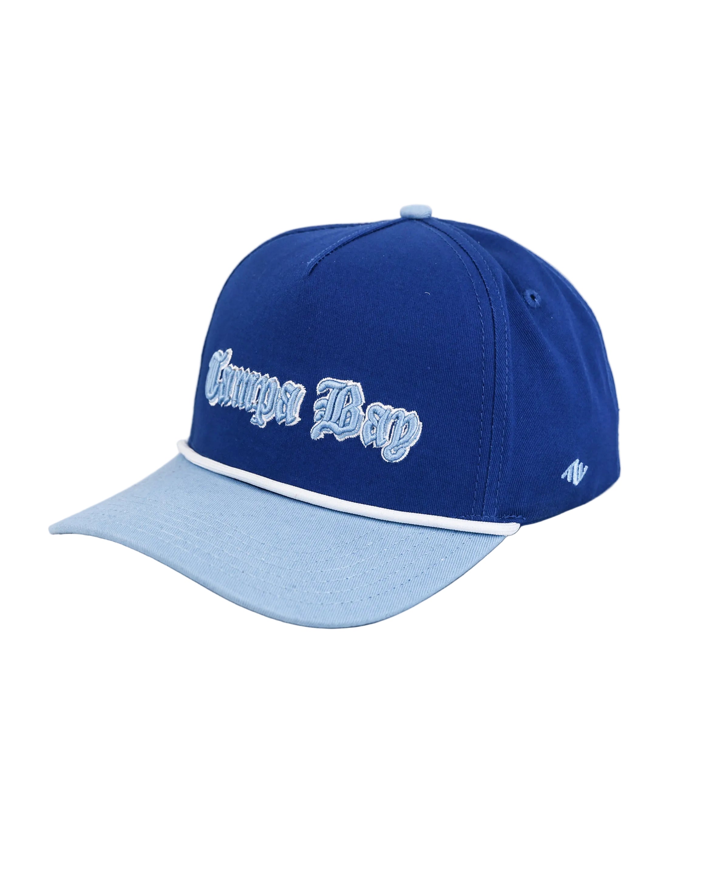 Tampa Bay City Skyline Hat-4